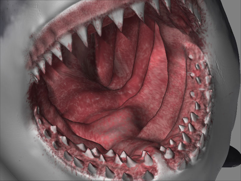 mouthcolor1xf.jpg