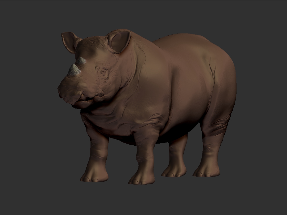 Rhino_sculptrework2.jpg
