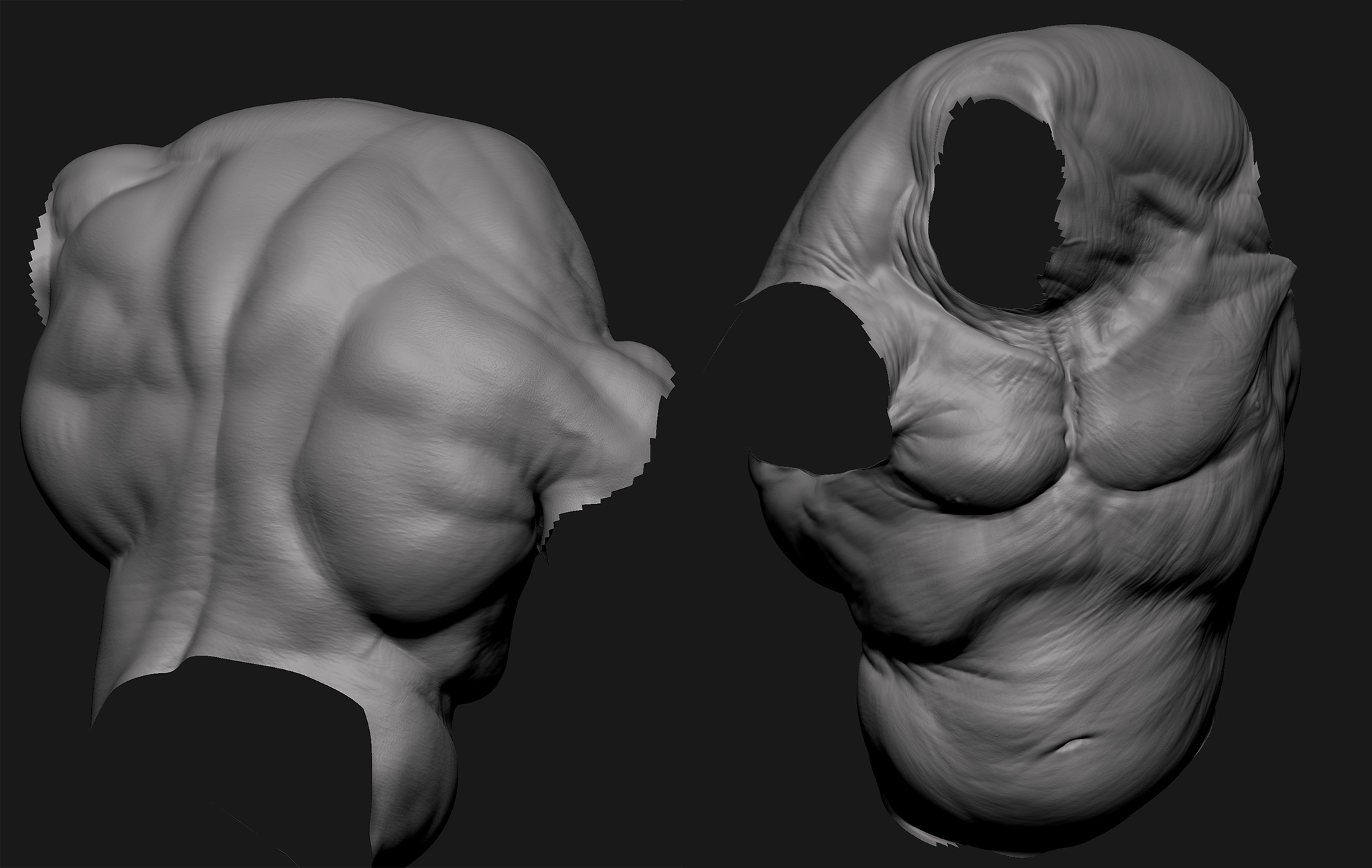 torsos_central.jpg