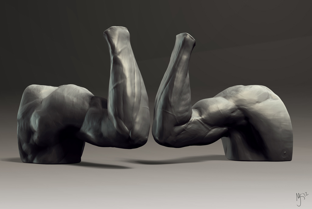 05_Supinated_Arm_web.jpg