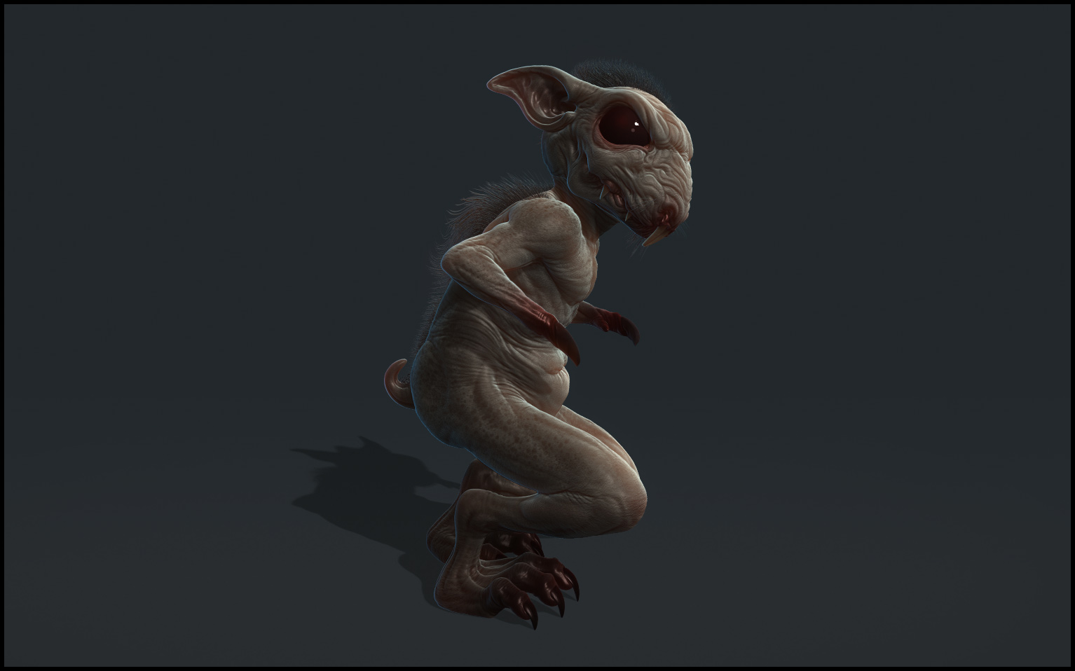 Bunny_01.jpg