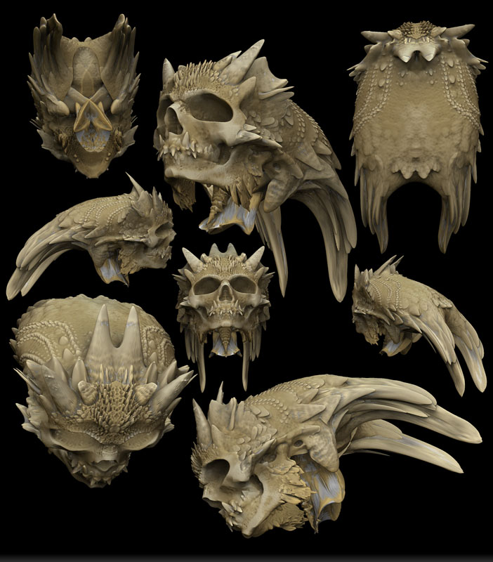 SCALED SKULL 5.jpg