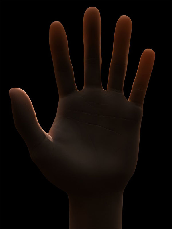 main15_800.jpg