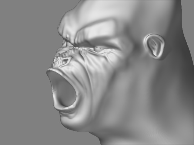 2nd Head Side.jpg
