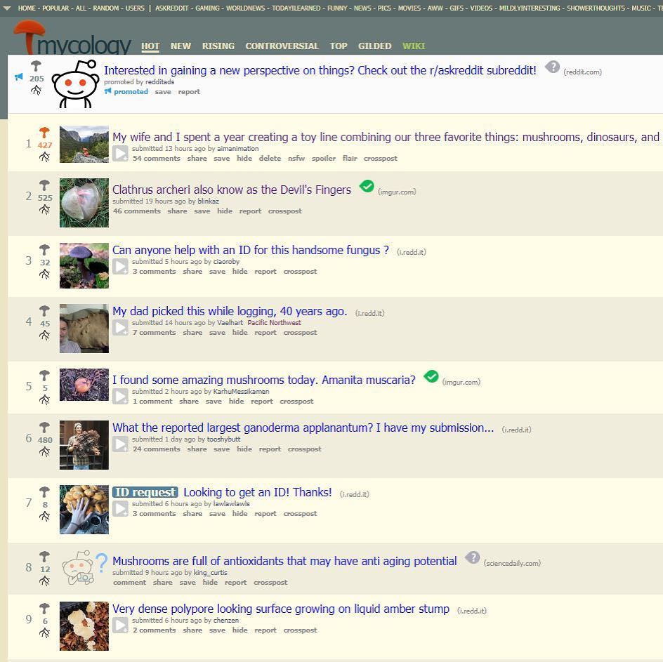 Reddit.jpg