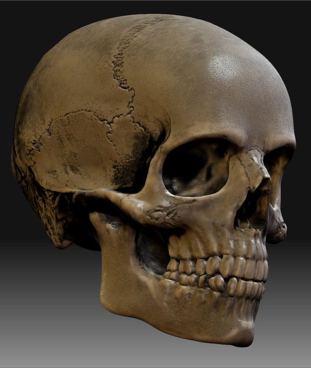 ZBSkull_Realtime.jpg