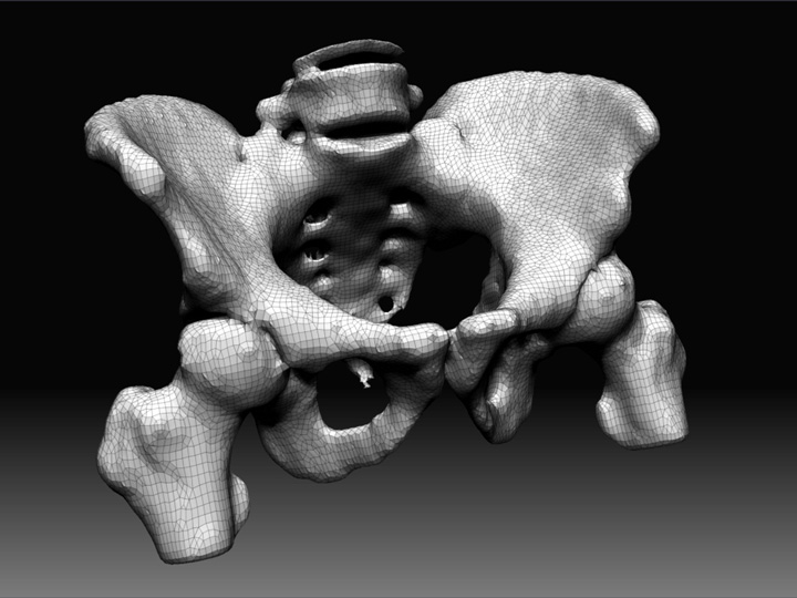 ZBrush Document.jpg