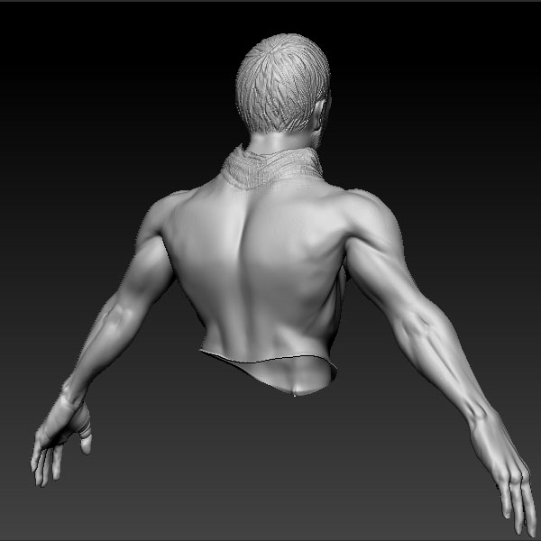 torso back.jpg