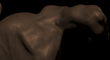 FORTH TORSO SCULPTRIS THUMBNAIL.jpg