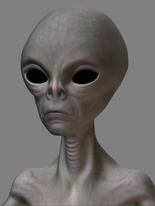 Wip5.JPG
