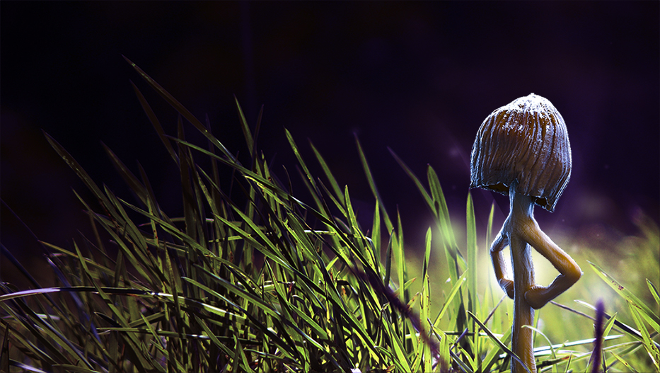 shroom.jpg