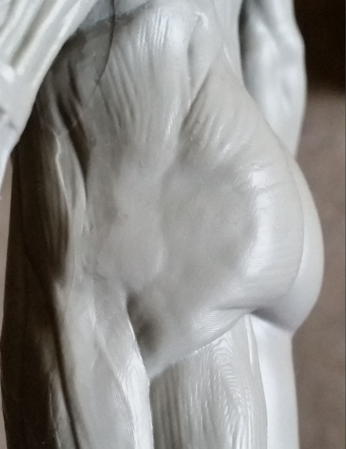 Image 473.jpg