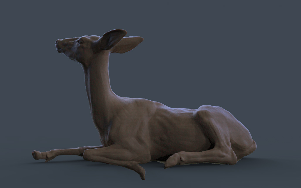 doe_02.jpg