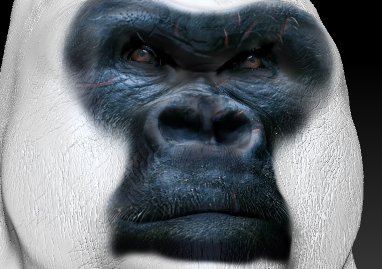 thrilla2.jpg