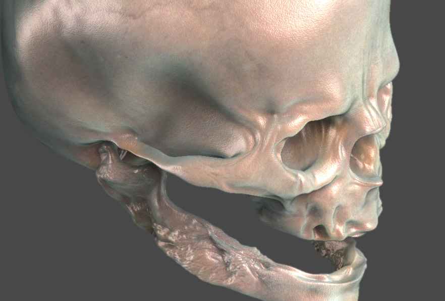 SKULL'S015.jpg