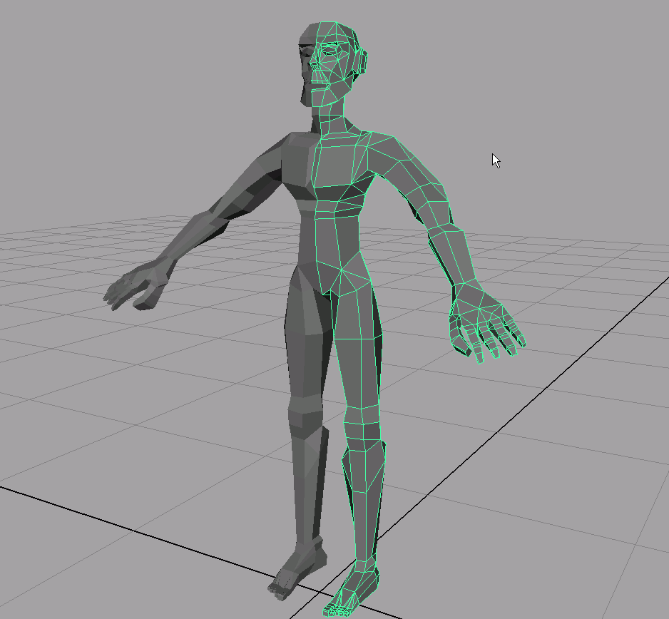 humanoid_wip.gif