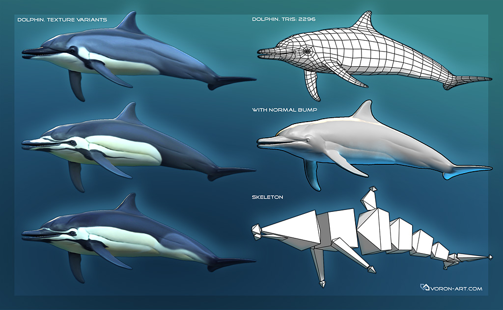 dolphin01_comp.jpg