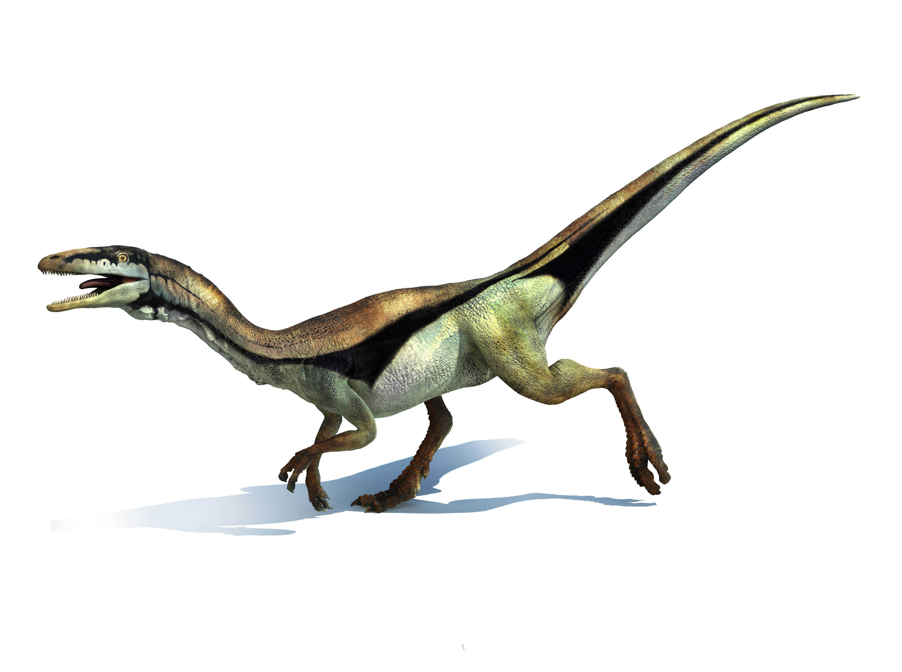 composaurus_HiResshowreel.jpg