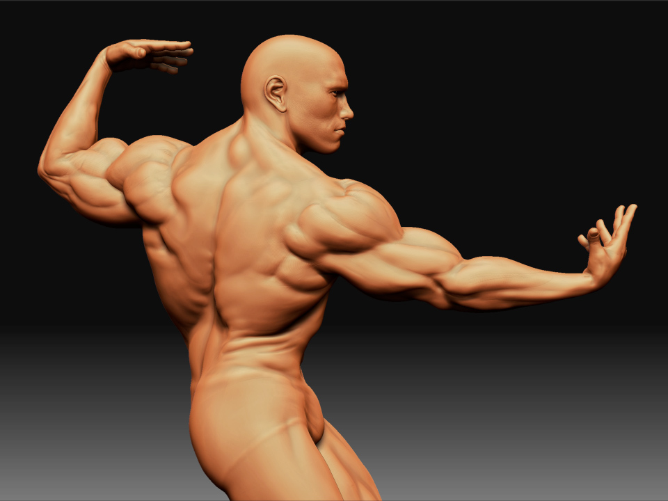 Arnold2.jpg