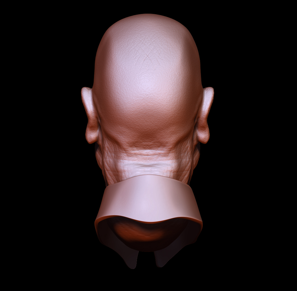 back veiw sculpt.jpg