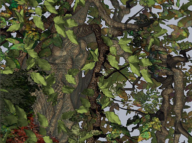 LotsoLeaves.jpg