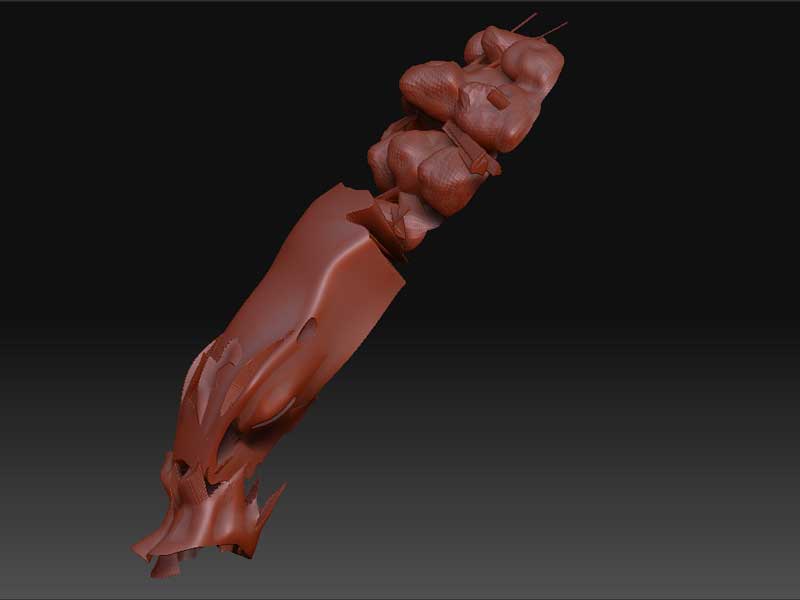 3 Adaptive-skin-with-projection.jpg