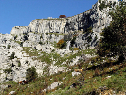 reference_rocks_cliffs_v1_1kpfa_vd8.0001.jpg