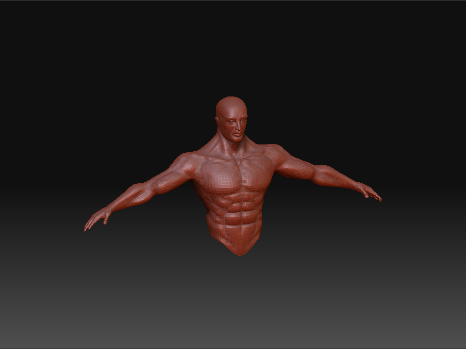 Upperbodylevel2.jpg