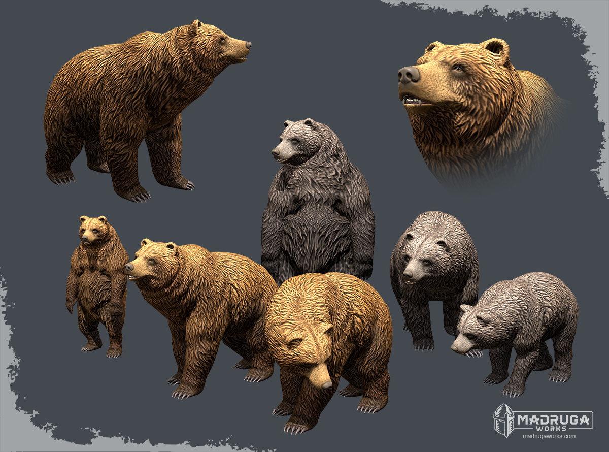 bear