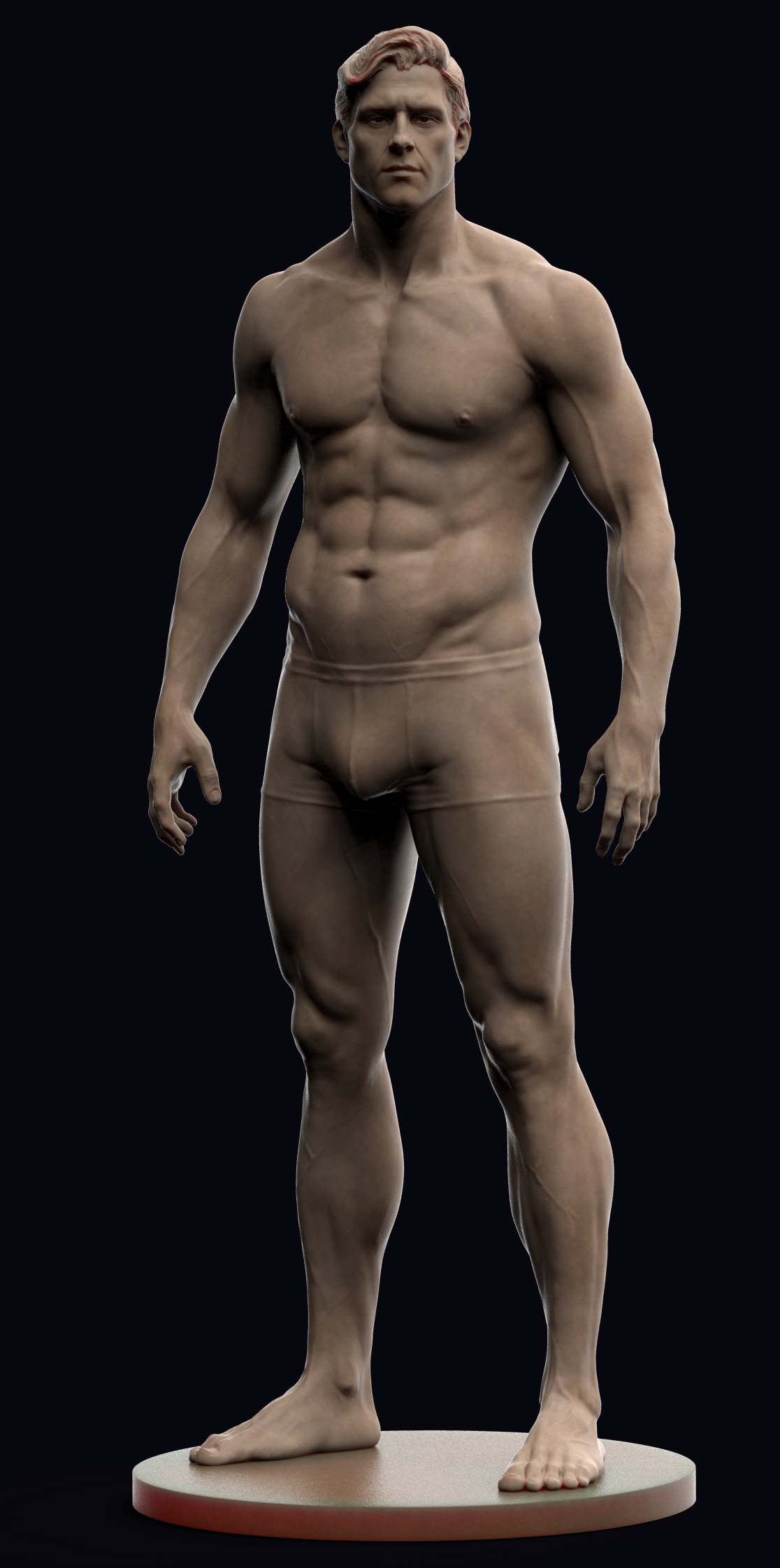 male anatomy study (2)