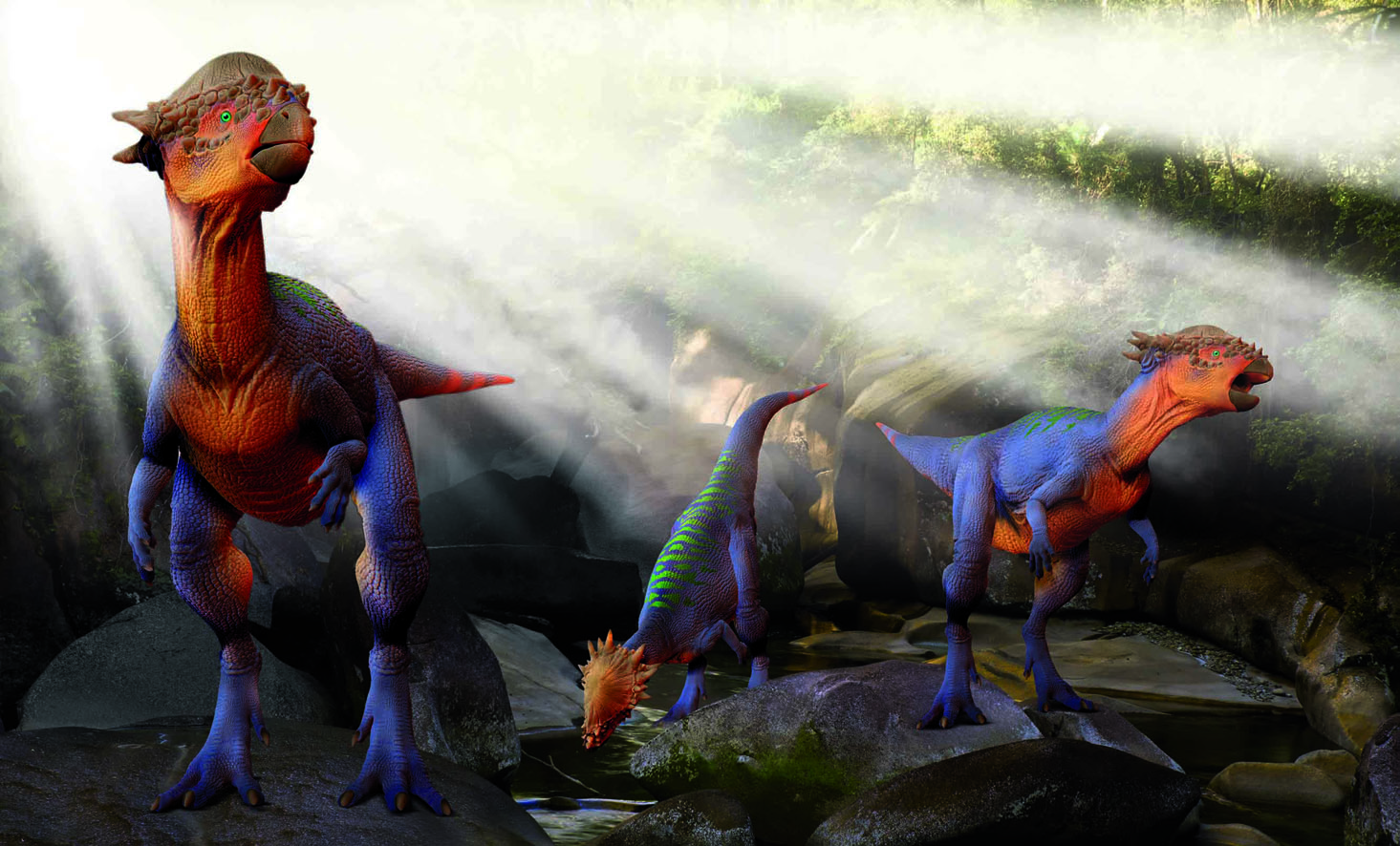 Pachycephalosaurus NEW HIRES FLATlow.jpg