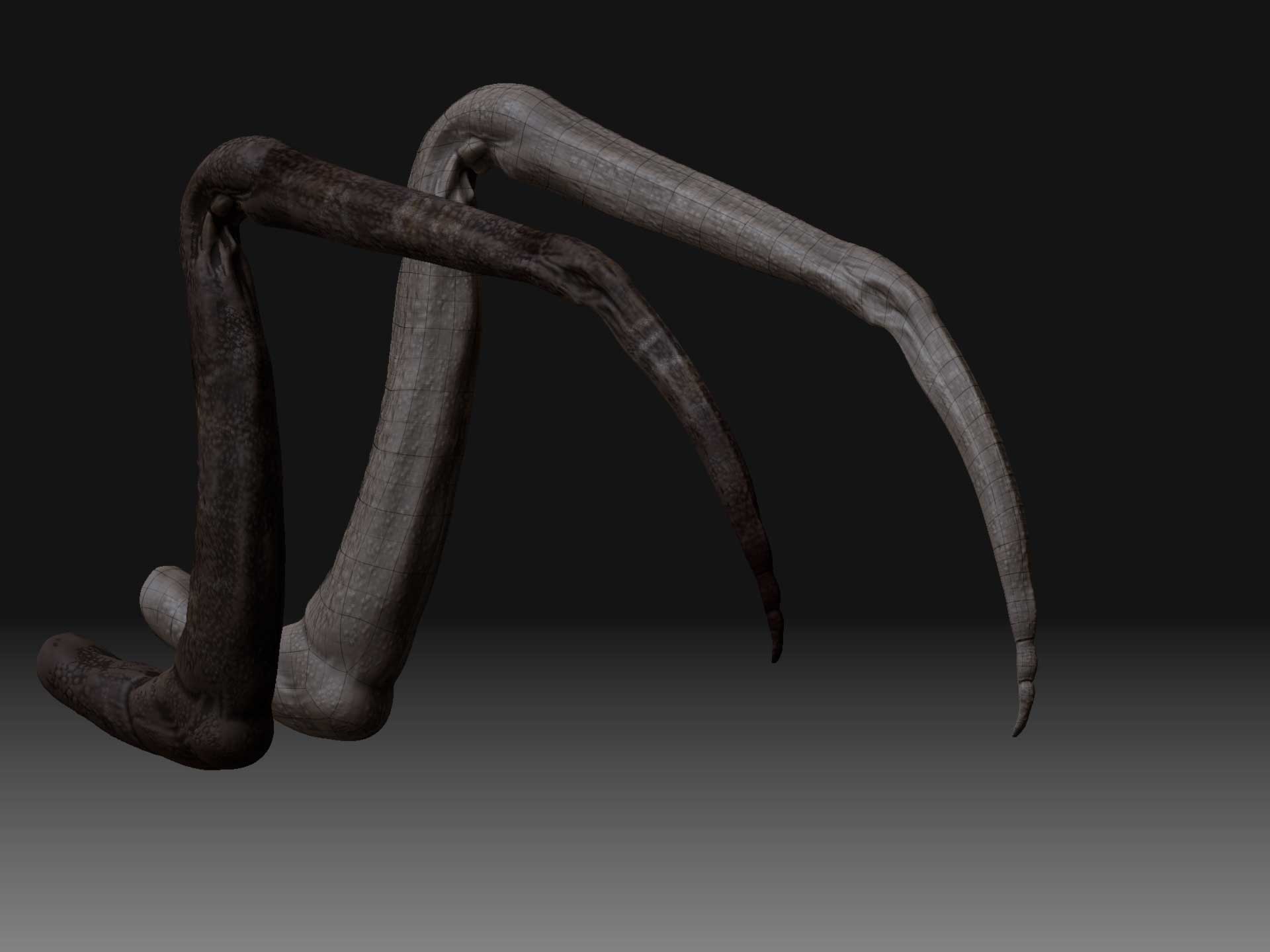 ZBrush-Document3.jpg