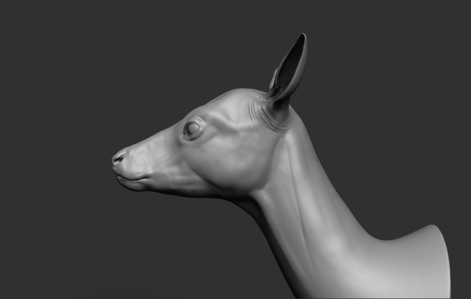 Deer _render _v002
