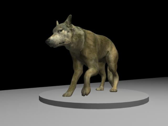 wolf2.jpg