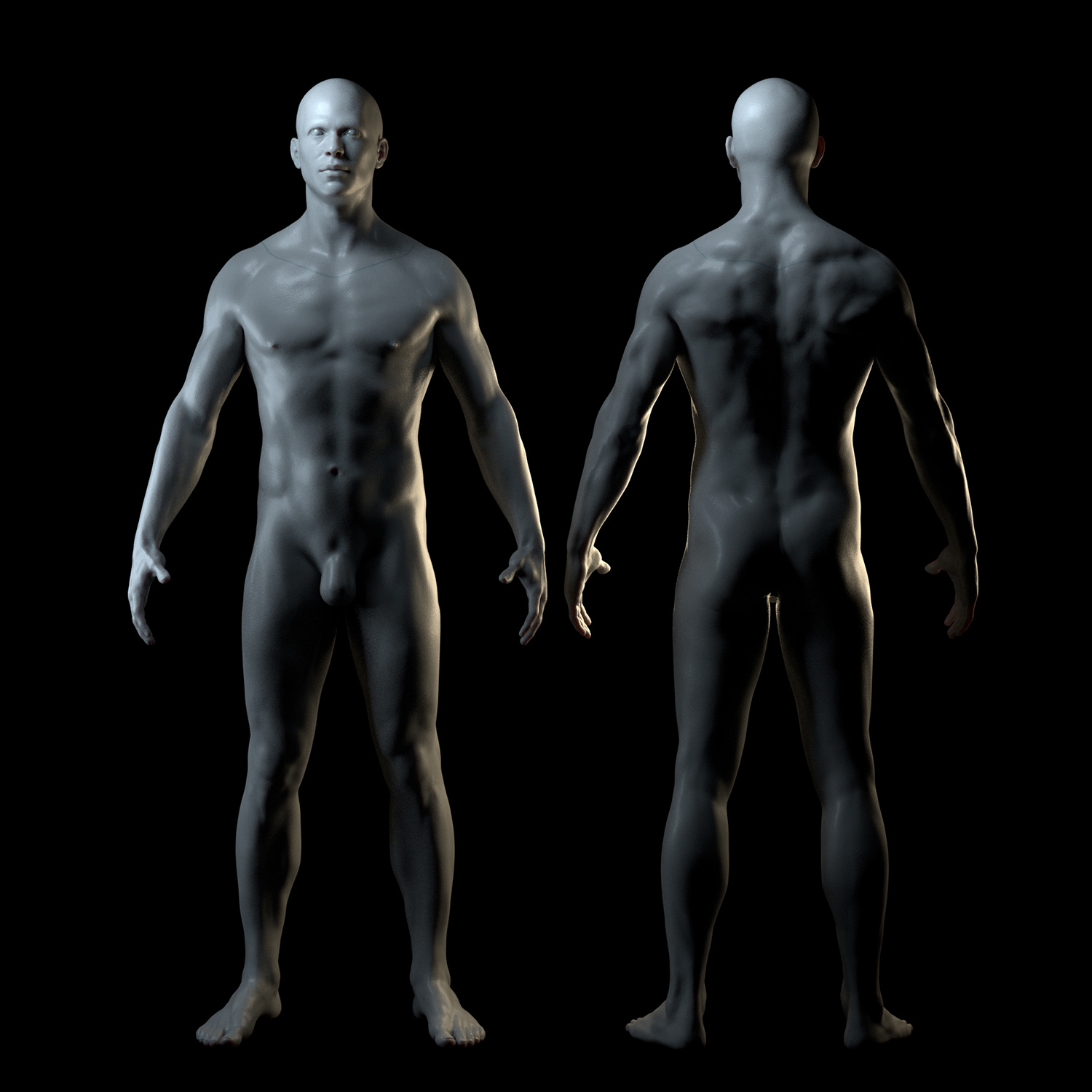 male4.jpg