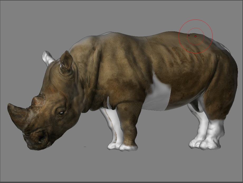 RhinoTextureFurther.jpg