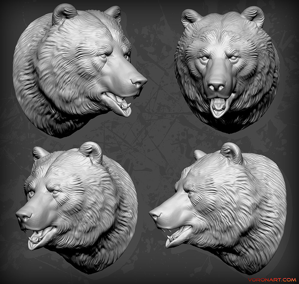 3d-bear-head-zbrush-sculpt-01.jpg