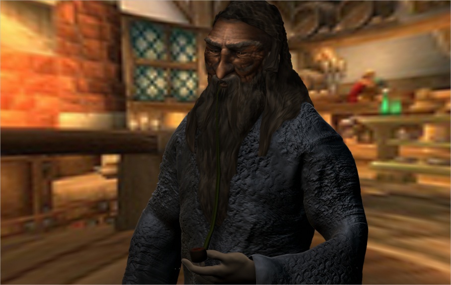 Gandolf the Gray 01.jpg