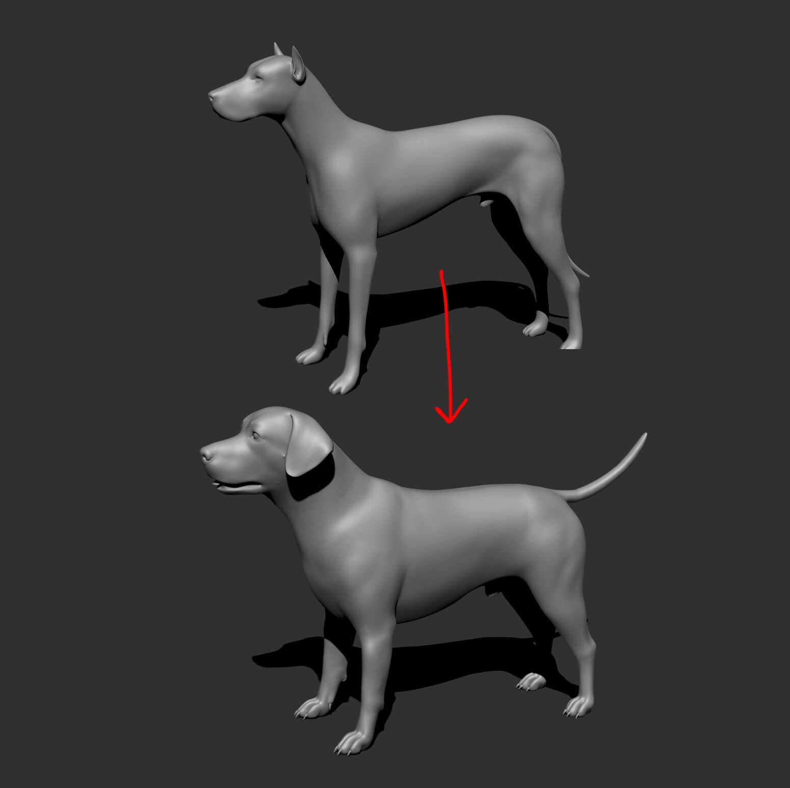 dog sculpture zbrush