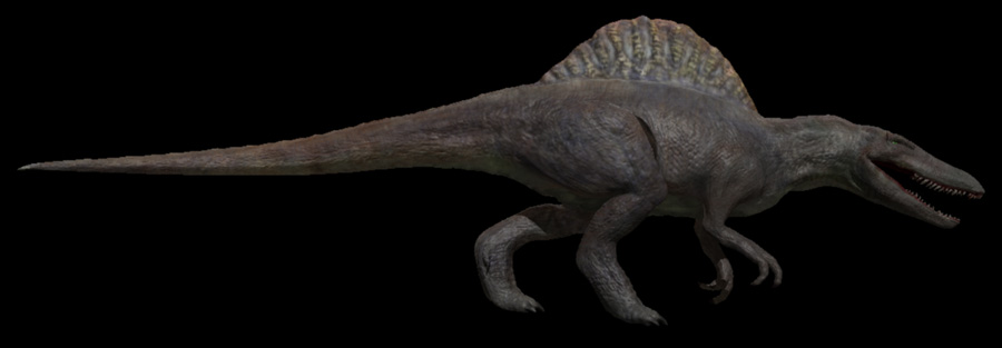 spino3.jpg