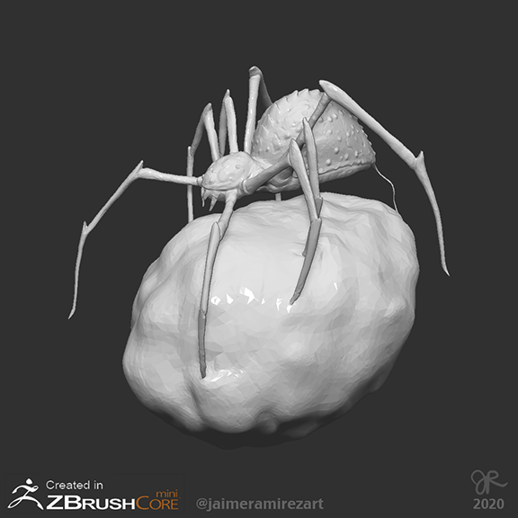 ZBrushCoreMini_Spider_05_JR