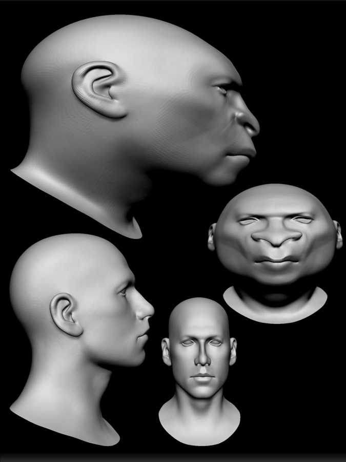 EOF MESH MOD 1.jpg