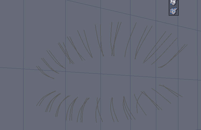 EYE LASHES 5.jpg