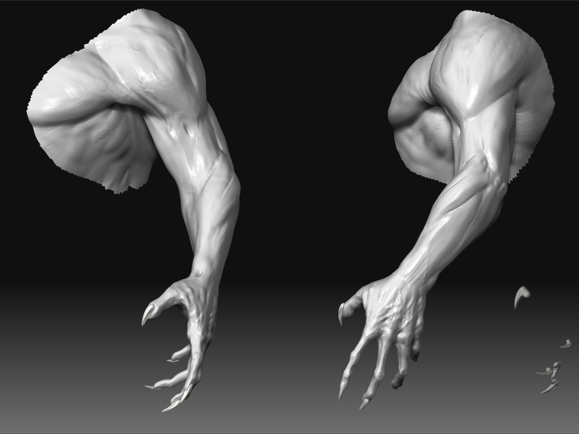 wip2.jpg