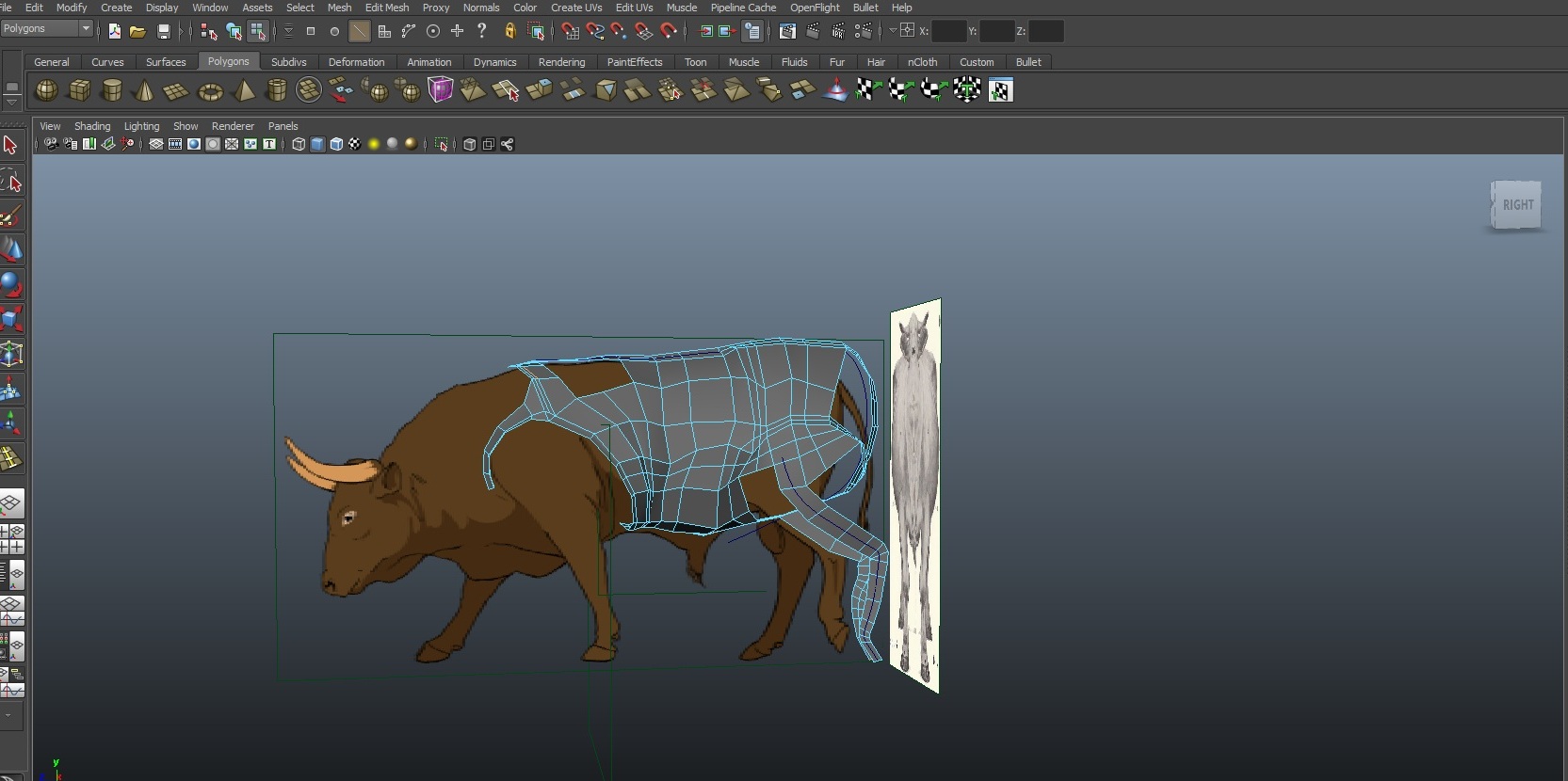 my cow so far(very rough blocking).jpg