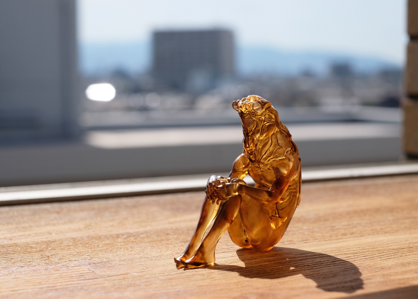 cicada1