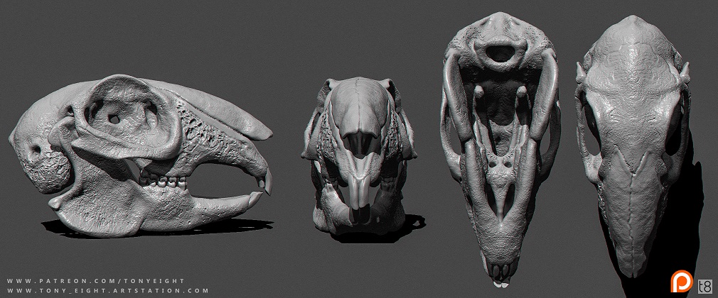 Rabbit_Skull_WIP_small.jpg