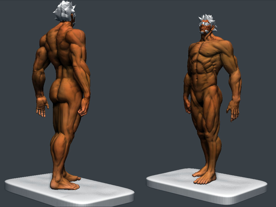 body.jpg