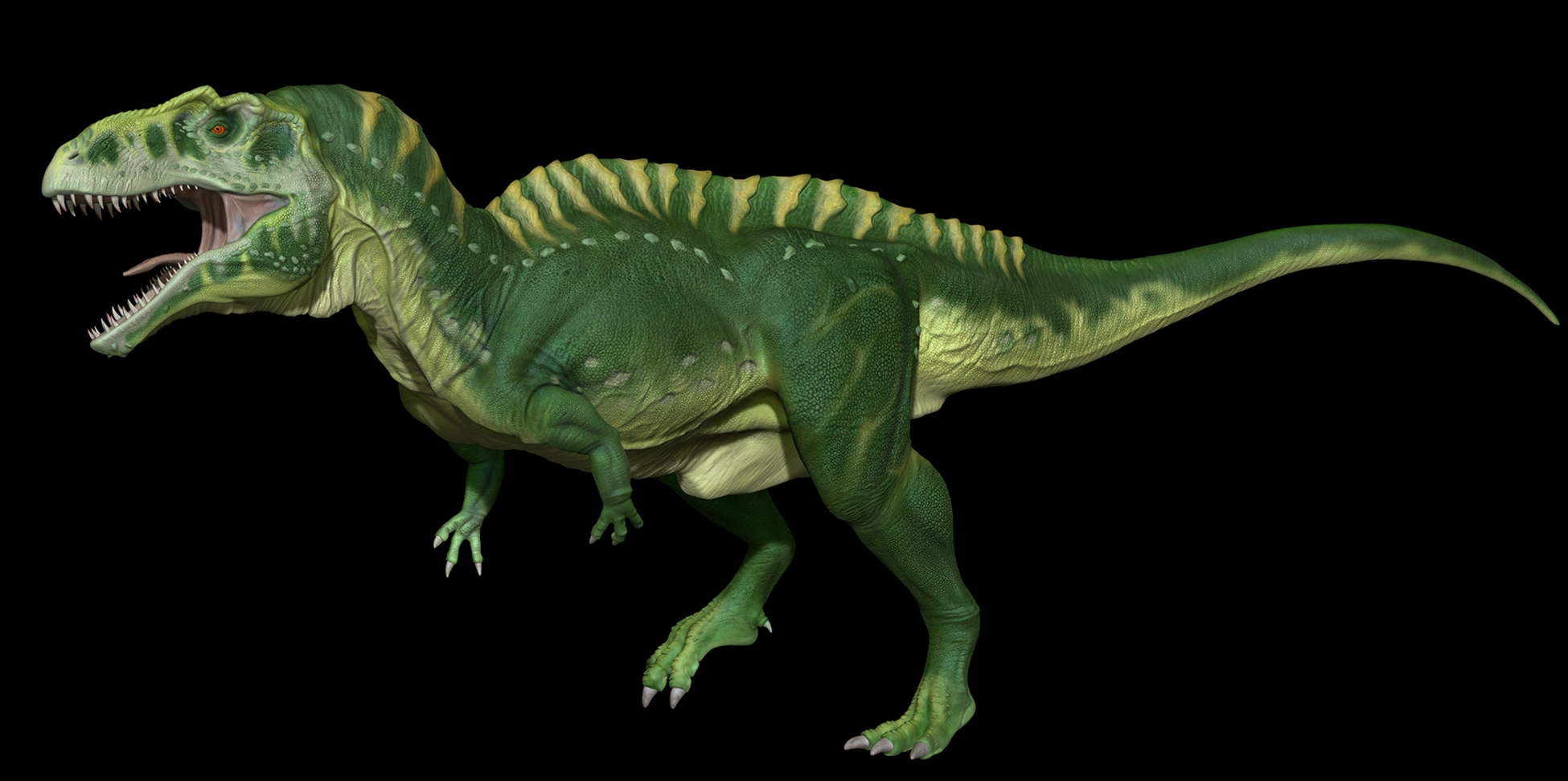 NewPose1_resize.jpg