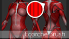 ecorcheBrushDownloadThumb.jpg